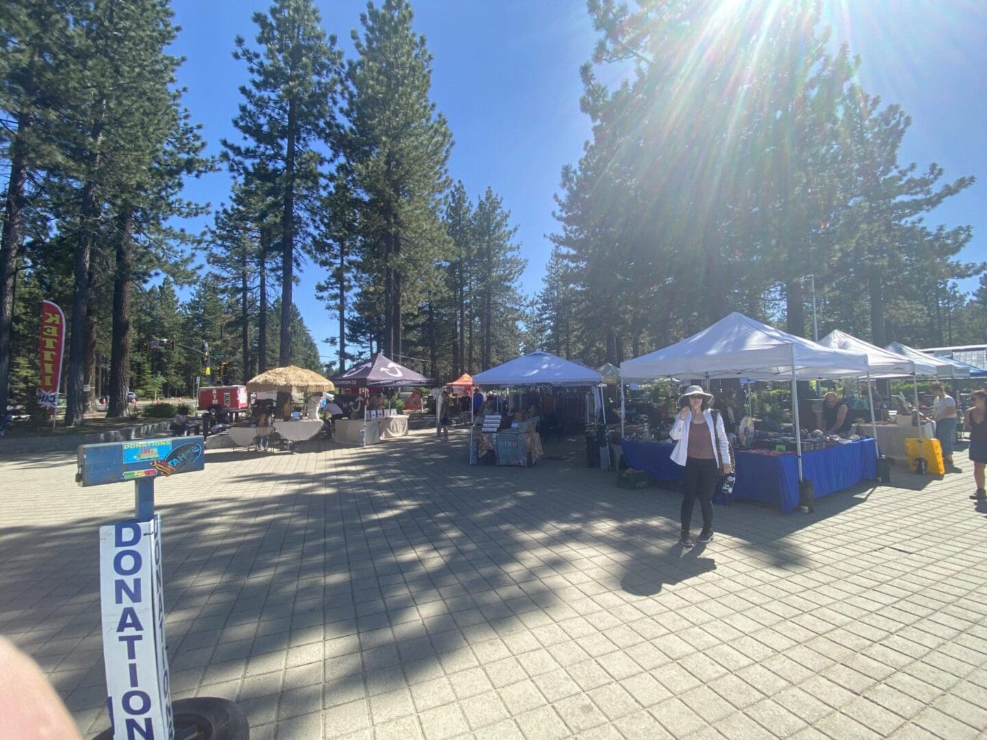 Outdoor market with tents under tall trees.