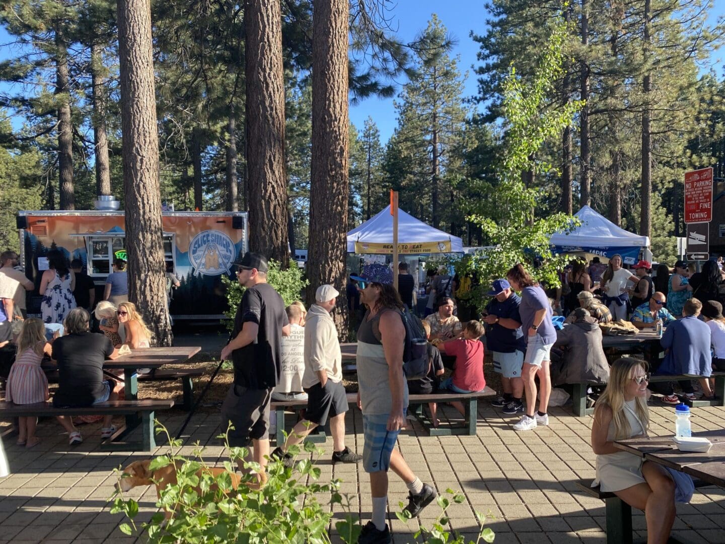 Outdoor gathering with food trucks and trees.
